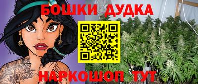 прущие крисы Обь