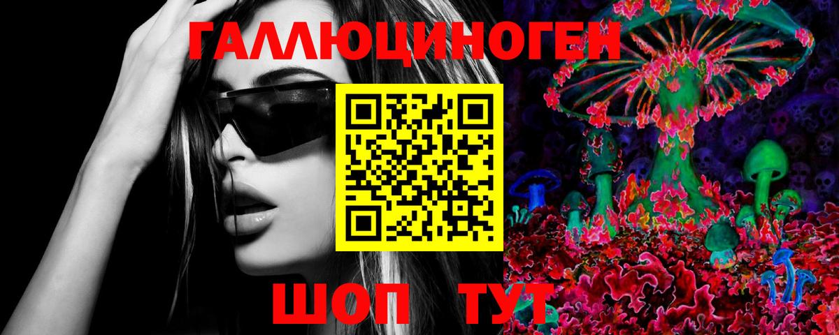 Галлюциногенные грибы Psilocybe Спасск-Дальний